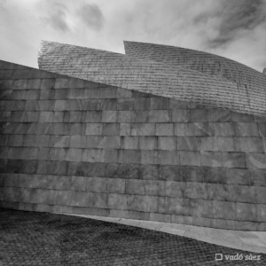 Museu Guggenheim 06