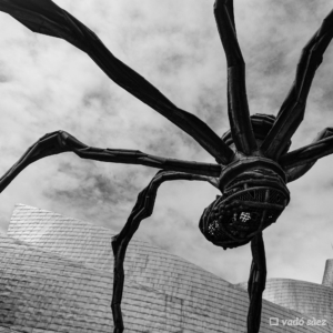 Museu Guggenheim 08