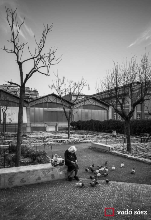 Anciana alimentant als coloms, Mercat del Ninot de Barcelona